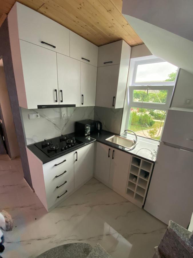 Buo'S Guest House Borjomi Luaran gambar